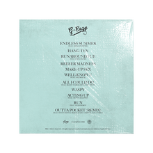 Load image into Gallery viewer, THE ENDLESS SUMMER 15 YEAR ANNIVERSARY VINYL
